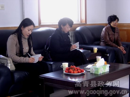 市妇联来我县督导<em>女性进村</em>两委工作