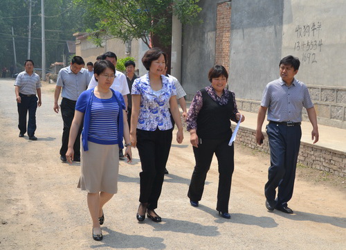 市委常委、统战部部长魏艳菊到高城镇调研第