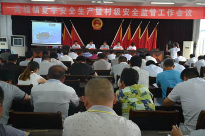 高城镇召开夏季安全生产暨村级安全监管工作会