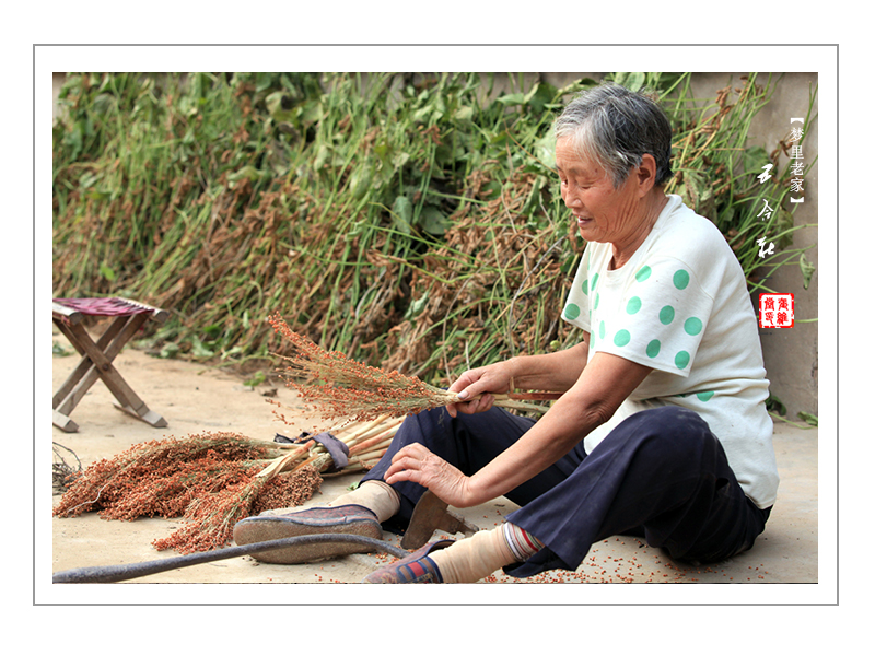 高青县人民政府 图说高青 家乡记忆系列之梦里
