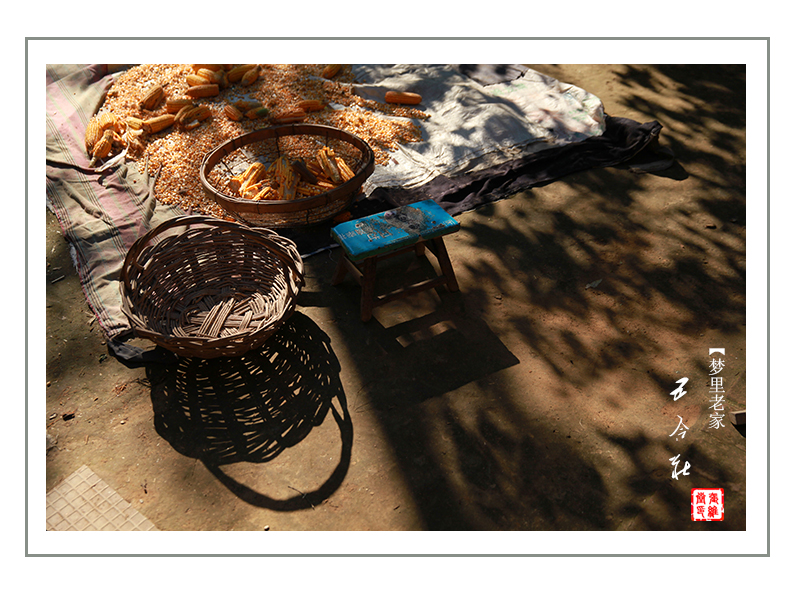 高青县人民政府 图说高青 家乡记忆系列之梦里