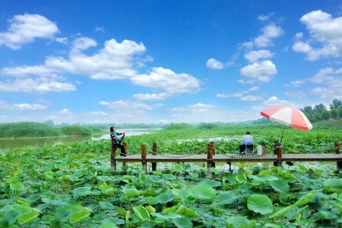 南方情调蓑衣水乡