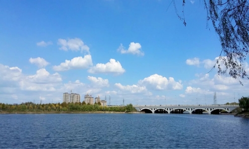 芦湖路大桥