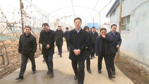 高青县人民政府 图片新闻 县委书记王金栋春节前夕